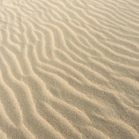 Mar Y Luz קוקסיידה