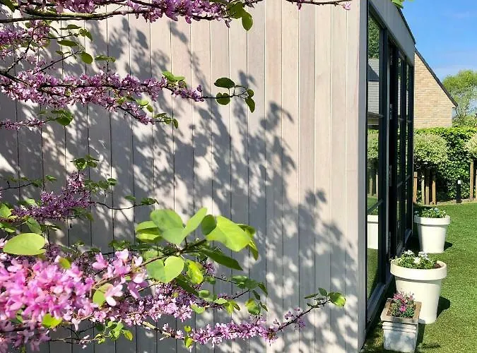 Holiday home Mar Y Luz Koksijde